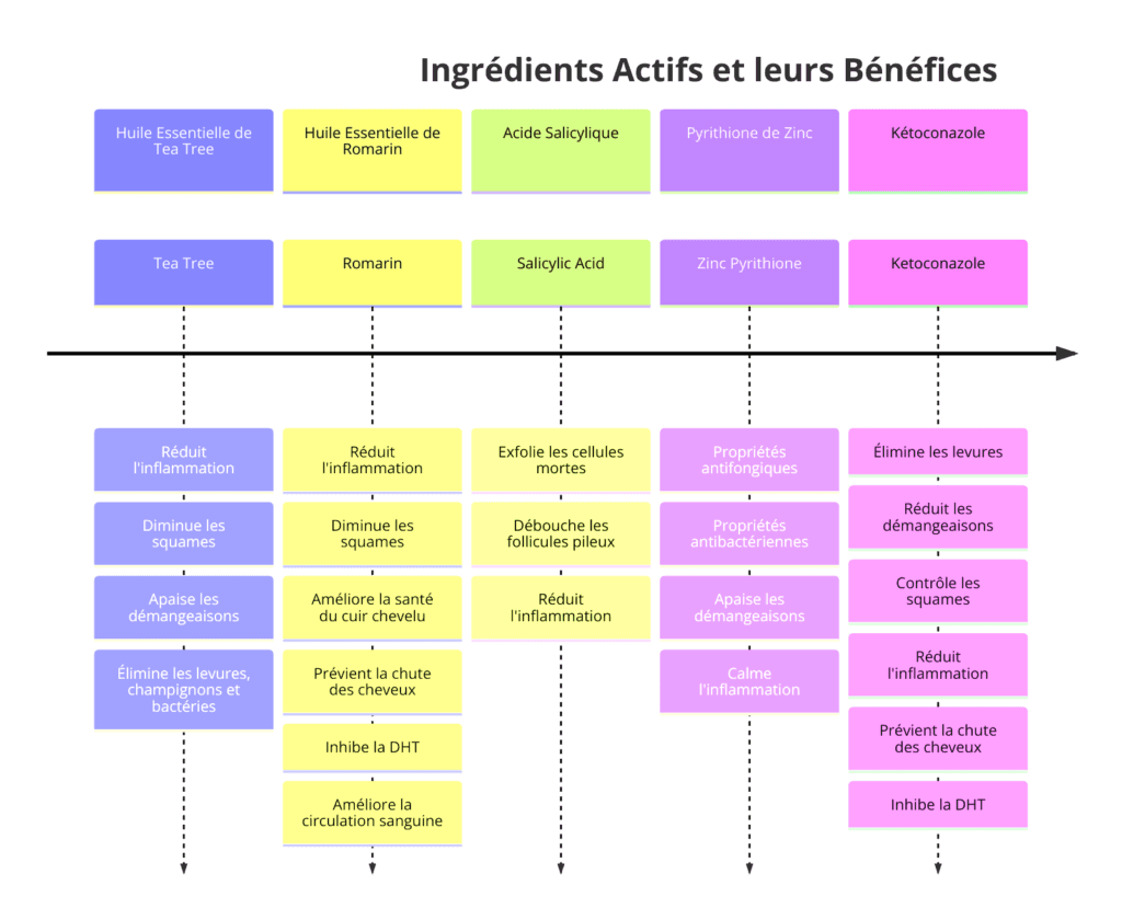 Diagramme illustrant les ingrédients actifs des shampoings pour la dermite séborrhéique et leurs bénéfices : Huile Essentielle de Tea Tree (Réduit l'inflammation, Diminue les squames, Apaise les démangeaisons, Élimine les levures, champignons et bactéries), Huile Essentielle de Romarin (Réduit l'inflammation, Diminue les squames, Améliore la santé du cuir chevelu, Prévient la chute des cheveux, Inhibe la DHT, Améliore la circulation sanguine), Acide Salicylique (Exfolie les cellules mortes, Débouche les follicules pileux, Réduit l'inflammation), Pyrithione de Zinc (Propriétés antifongiques, Propriétés antibactériennes, Apaise les démangeaisons, Calme l'inflammation), Kétoconazole (Élimine les levures, Réduit les démangeaisons, Contrôle les squames, Réduit l'inflammation, Prévient la chute des cheveux, Inhibe la DHT).