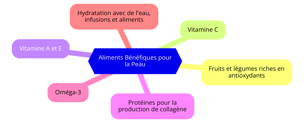 Carte mentale illustrant les aliments bénéfiques pour la peau, incluant les fruits et légumes riches en antioxydants, la vitamine C, les vitamines A et E, les protéines pour la production de collagène, les oméga-3, et l'hydratation avec de l'eau, des infusions et des aliments.