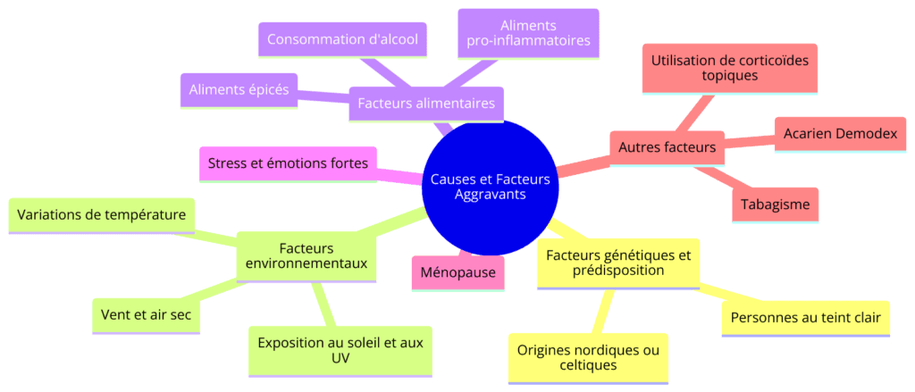 Diagramme en mindmap illustrant les causes et facteurs aggravants de la couperose et de la rosacée. Les facteurs incluent des facteurs génétiques et une prédisposition (personnes au teint clair, origines nordiques ou celtiques), des facteurs environnementaux (exposition au soleil et aux UV, variations de température, vent et air sec), des facteurs alimentaires (consommation d'alcool, aliments épicés, aliments pro-inflammatoires), le stress et les émotions fortes, la ménopause, et d'autres facteurs comme le tabagisme, l'utilisation de corticoïdes topiques, et la présence de l'acarien Demodex.