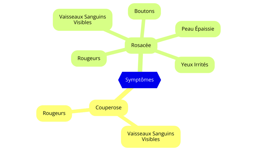 Mindmap des symptômes de la couperose et de la rosacée. La couperose inclut les symptômes 'Vaisseaux Sanguins Visibles' et 'Rougeurs'. La rosacée inclut les symptômes 'Rougeurs', 'Vaisseaux Sanguins Visibles', 'Boutons', 'Peau Épaissie' et 'Yeux Irrités'.