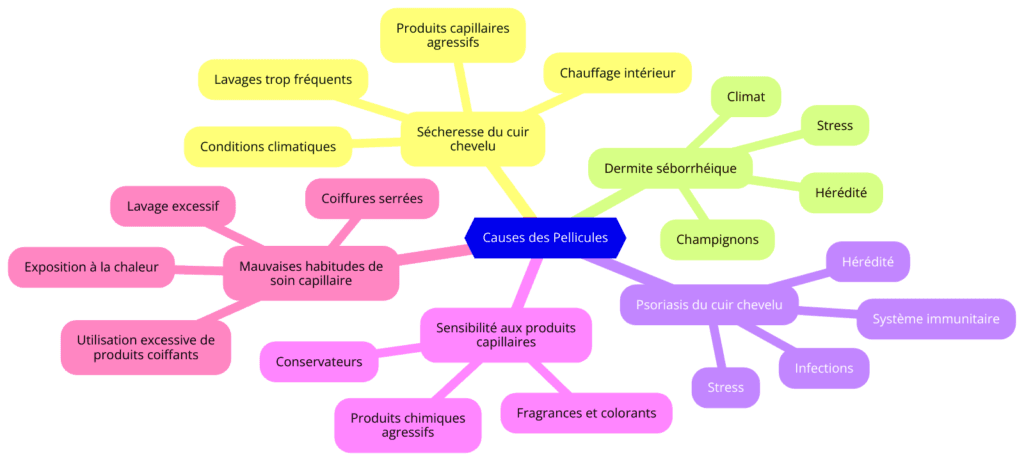Diagramme illustrant les principales causes des pellicules : sécheresse du cuir chevelu, dermite séborrhéique, psoriasis du cuir chevelu, sensibilité aux produits capillaires, et mauvaises habitudes de soin capillaire.
