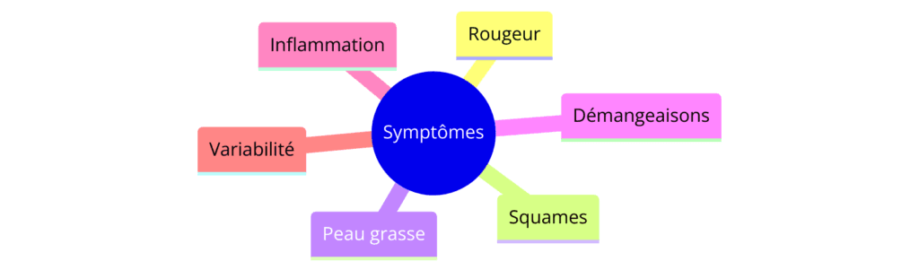 "Diagramme mindmap des symptômes de la dermite séborrhéique, incluant rougeur, squames, peau grasse, démangeaisons, inflammation, et variabilité