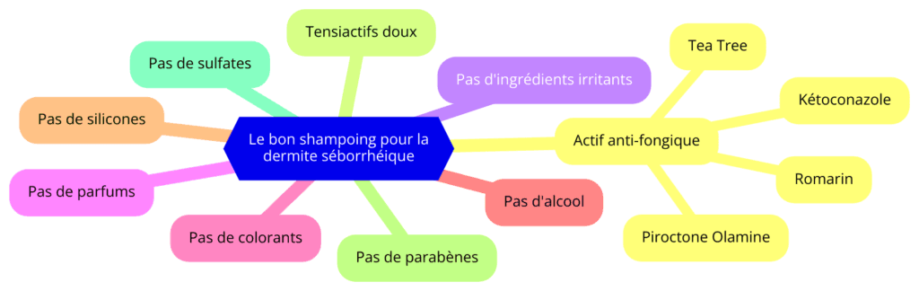 Diagramme illustrant les ingrédients d'un bon shampoing pour la dermite séborrhéique : Actifs anti-fongiques (Tea Tree, Romarin, Piroctone Olamine, Kétoconazole), Tensiactifs doux, sans ingrédients irritants, sans parfums, sans colorants, sans alcool, sans silicones, sans parabènes, sans sulfates