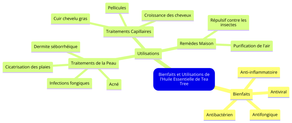 schéma des Bienfaits et utilisations de l'huile essentielle de Tea Tree pour la peau et les cheveux, traitement de l'acné, dermite séborrhéique, cicatrisation des plaies, infections fongiques, pellicules, cuir chevelu gras, croissance des cheveux, purification de l'air et répulsif contre les insectes