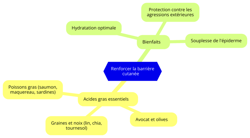 Comment renforcer sa barrière cutanée et quels avantages ( hydratation, protection et souplesse de la peau)