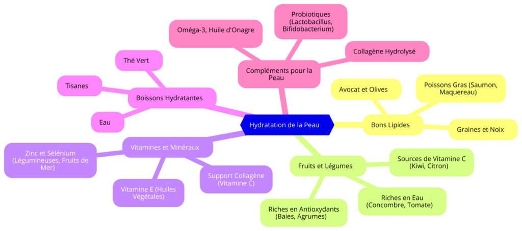 Mindmap illustrant les stratégies d'hydratation de la peau via l'alimentation, avec des branches détaillant les bons lipides, les fruits et légumes riches en eau et antioxydants, les vitamines et minéraux essentiels, les boissons hydratantes, et les compléments alimentaires pour la peau.